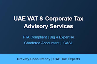 provide uae vat filing and corporate tax advisory services