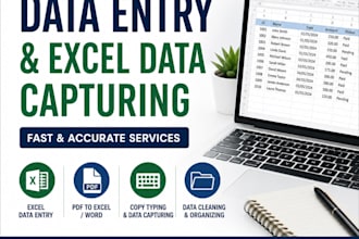 do accurate data entry, excel data capturing and admin work