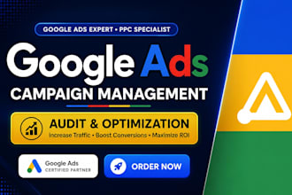 audit and optimize google ads PPC campaign, performance max as a SEM expert