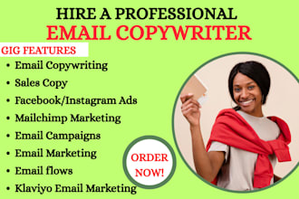 do email copywriting sales copy facebook ads mailchimp email marketing campaign