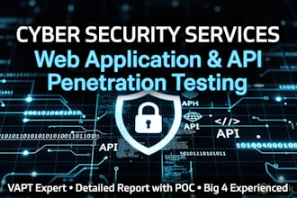 vapt expert web API thick client penetration testing big 4