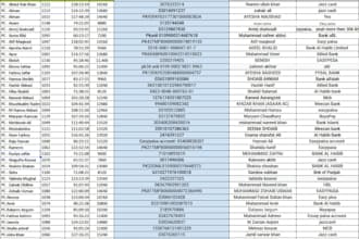 expert excel and ms word data entry