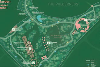 do vector map illustration custom map design site map dnd game map fantasy map
