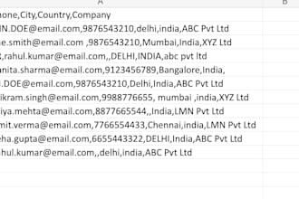 clean your excel or CSV data professionally