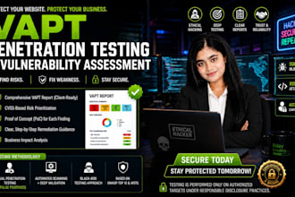 perform penetration testing and vapt for your website