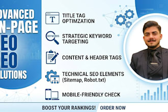 do professional onpage SEO for your website