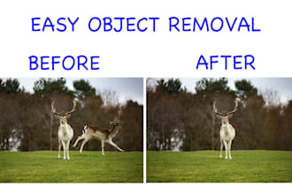 remove an object from your photo