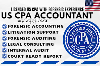 do forensic accounting, forensic audit, asset tracing, court ready reports