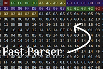 write a high performance binary parser for your file format