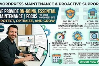 provide professional wordpress maintenance and proactive support