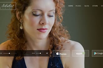 build a stunning squarespace artist website painter illustrator website