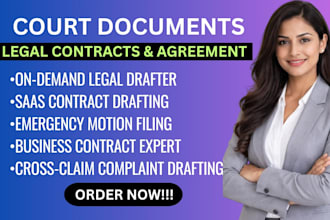 expertly draft legal lawsuits, complaints, petitions and appellate briefs