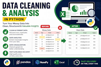 clean, format and preprocess your dataset professionally