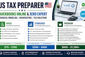 provide US tax preparation bookkeeping and financial modeling