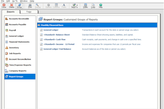 provide professional data entry and accounting support