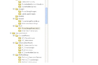 organize your files and documents professionally