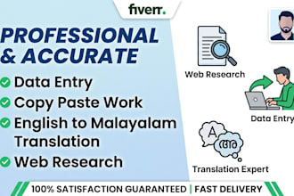 do professional data entry, copy paste and translation