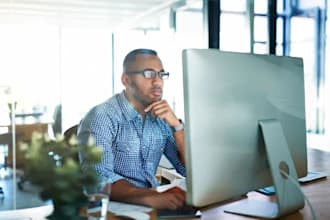 do data entry, documents checking and translation work