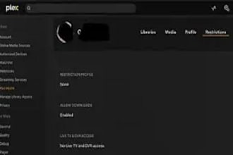 setup plex with sonarr radarr