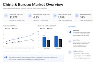 do china and europe market research and entry strategy