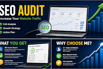 do a complete SEO analysis to grow your website traffic