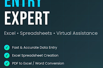 do fast and accurate data entry, create excel spreadsheets, reports, PDF 2 excel