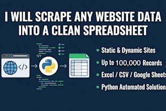 scrape any website data into a clean spreadsheet