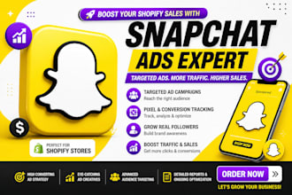 promote manage snapchat, tiktok, instagram account to get more views, followers