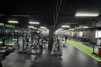 l create professional gym and fitness social media content