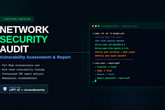 perform a network vulnerability scan and deliver a professional security report
