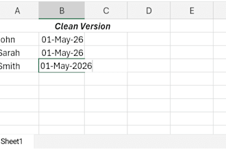 do professional excel data entry and data cleaning