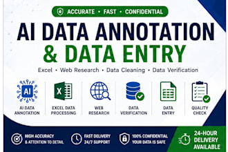 do ai data annotation, accurate data entry, excel and web research