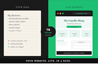 build your website with a custom domain, live in 72 hours
