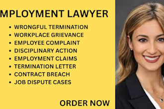handle contract disputes, wrongful termination, and workplace retaliation cases