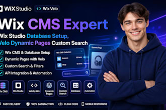 wix cms expert wix studio database setup velo dynamic pages custom search