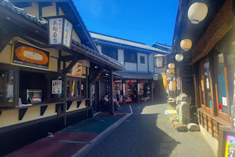 consult on your japan airbnb and licensed lodging business