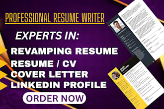 write an executive professional resume for senior managers, directors, vp and c