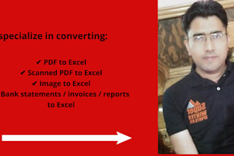 do fast and accurate data conversion PDF to excel