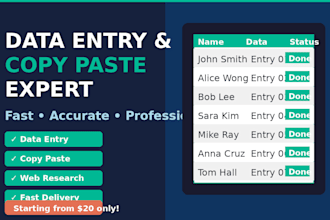 do accurate data entry, copy paste and web research for you