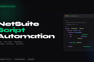 build netsuite suitescript automations, suitelets, and custom workflows
