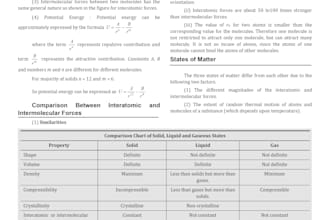 type and convert documents fast and accurately
