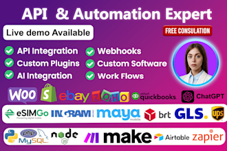 program a custom api integration or automation api developer