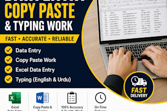 do accurate data entry,copypaste, ms excel and tpyng tasks