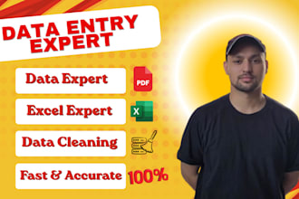 data entry, pdf to excel, copy paste and data cleaning