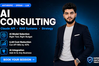 be your ai consultant for claude and openai