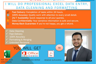 professional data entry, web research, and copy paste tasks