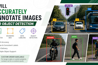 accurately annotate images for object detection