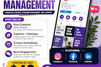 help you manage your social media accounts professionally