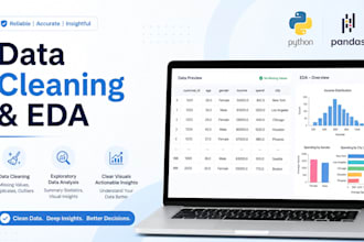 perform professional data cleaning and eda using python