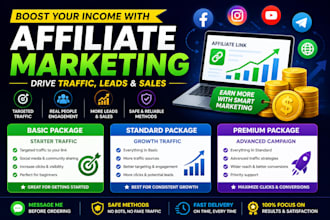 do affiliate marketing campaign for traffic and conversions